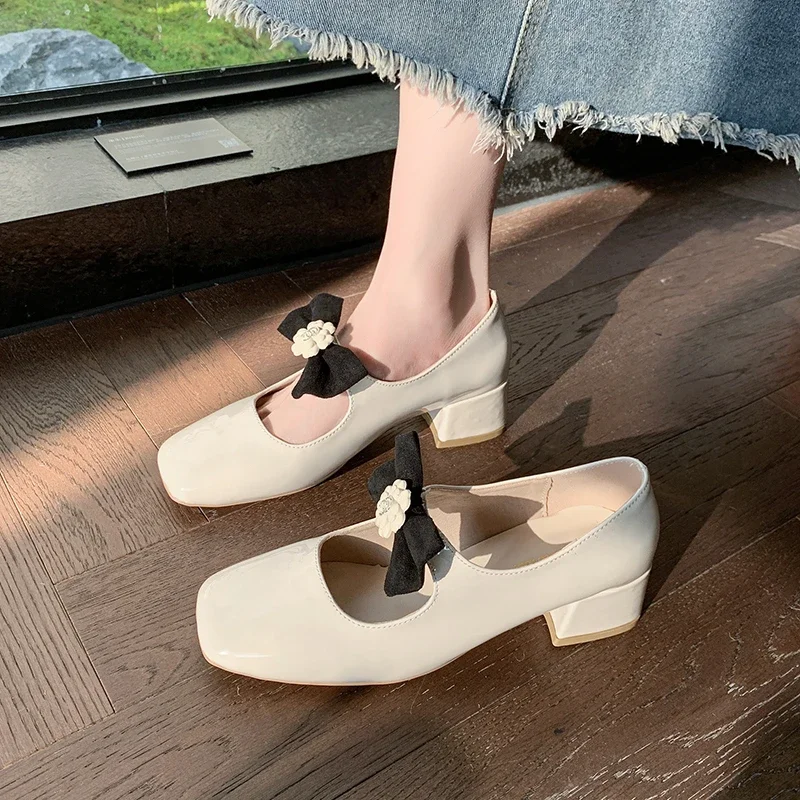 Mary Jane Shoes Square Heel Slip-On Women's High Heels Round Toe Soft Sole Shoes for Women Casual Comfort Heels Zapatos De Mujer