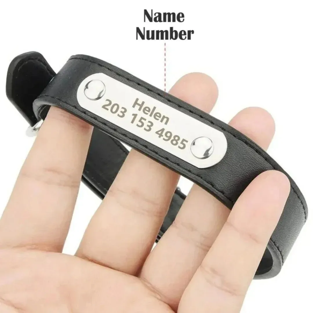 Thumbnail 2 - #30 Latest Dog Tags Offers