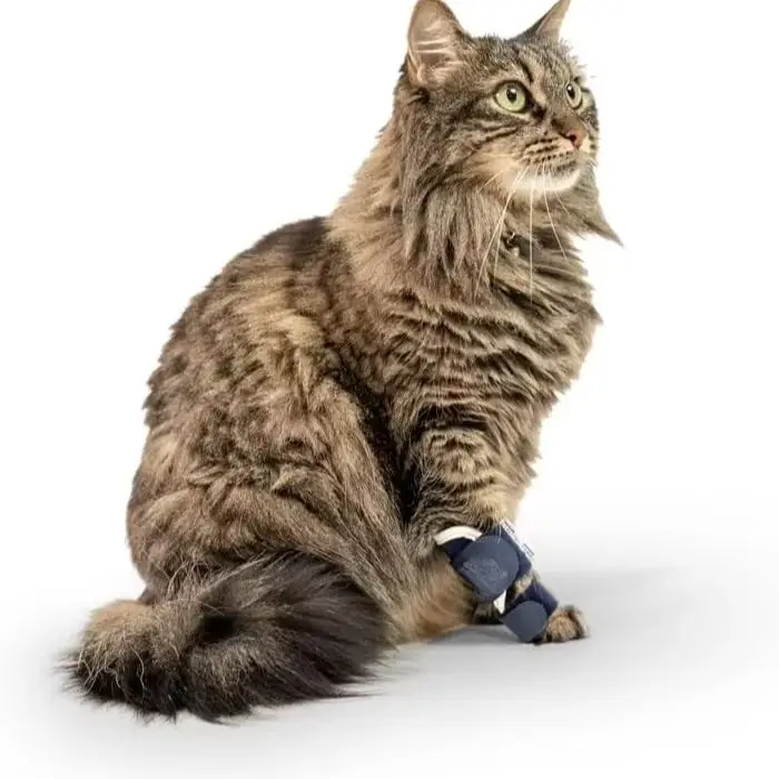 Front Leg Brace for Small Dogs