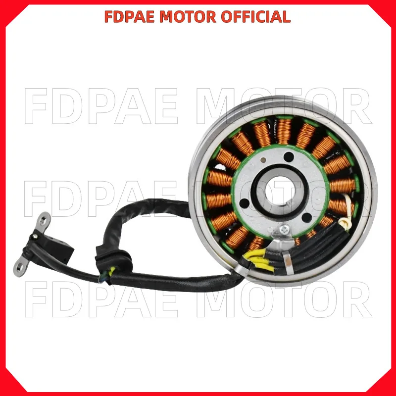 

Stator / Flywheel Assembly for Wuyang Honda Wh150-3