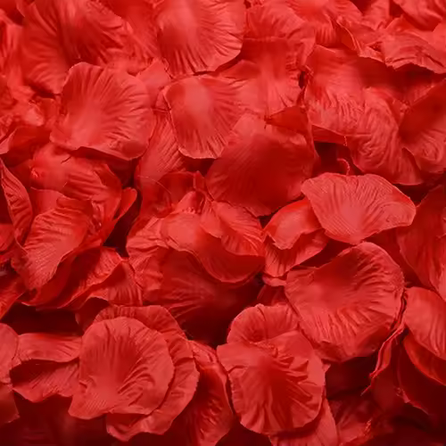 Black Artificial Rose Petals For Wedding Party Flower Favors Decoration Roses Supplies 500pcs Silk Petals Rosas Para Casamento - Image 21