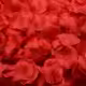 Thumbnail 21