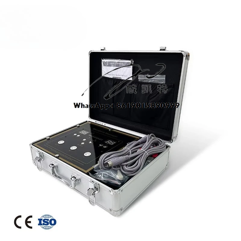 

Musculoskeletal Physiotherapy Device Medium Frequency Pulse DDS Bio Electric Stimulation Machine