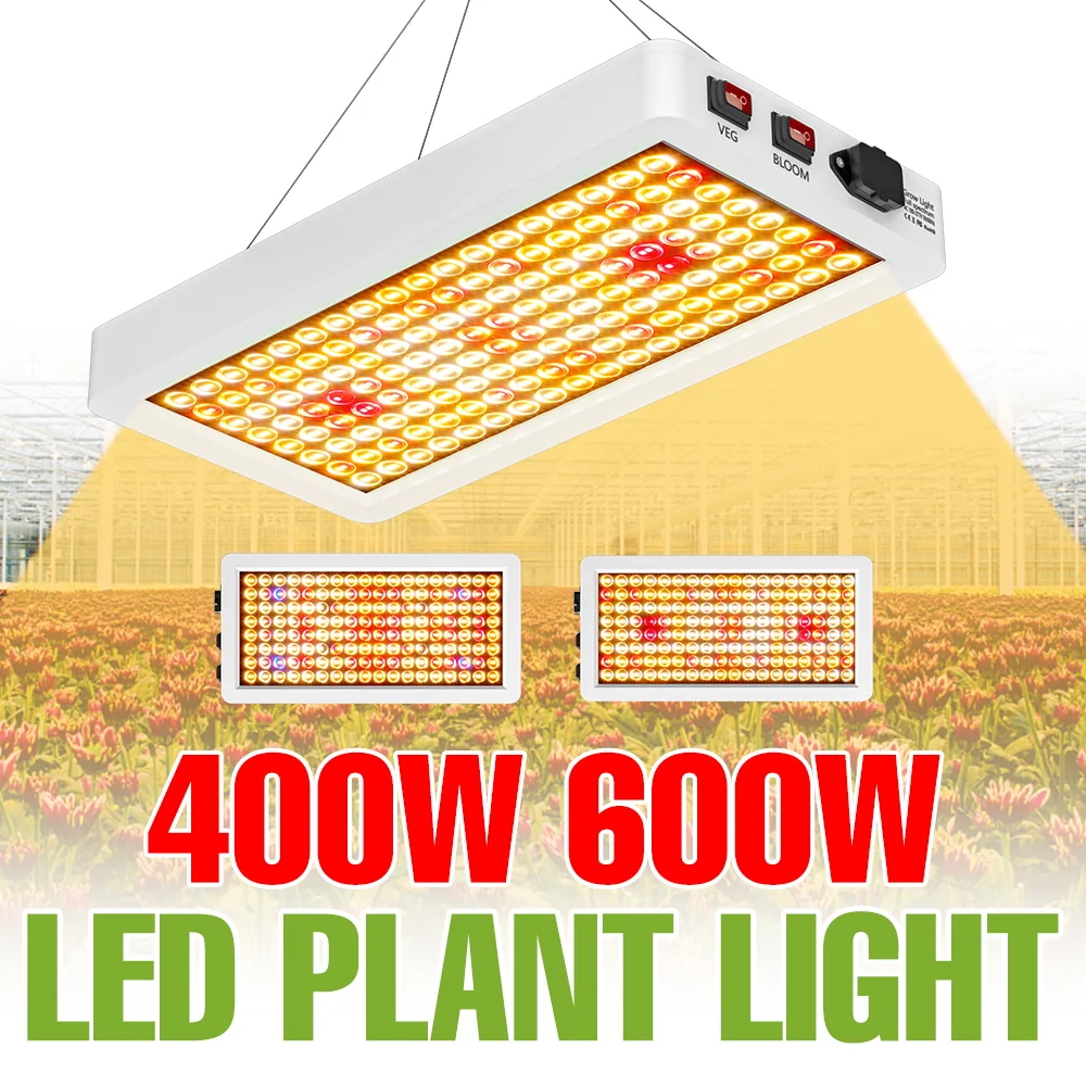 

600W LED Grow Lights Full Spectrum Quantum Board Plant Cultivation Lamp Lamp Greenhouse Tent Vegs Seedings Fruit Fill Lighting