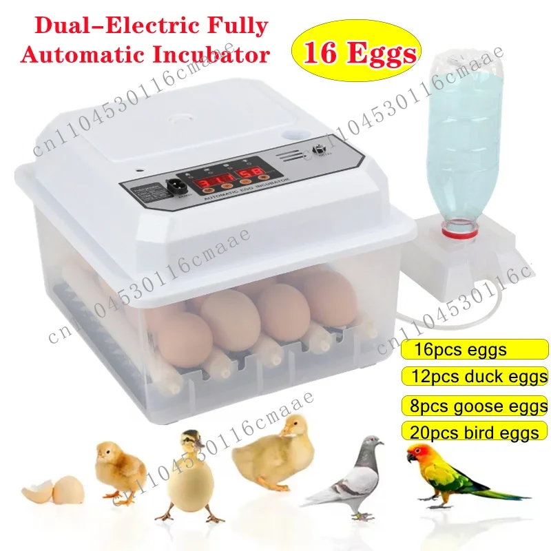 

16 Eggs Fully Automatic Incubator Brooder Hatchery Incubator Turner Household Farm Hatcher Machine Goose Quail Chicken Eggs