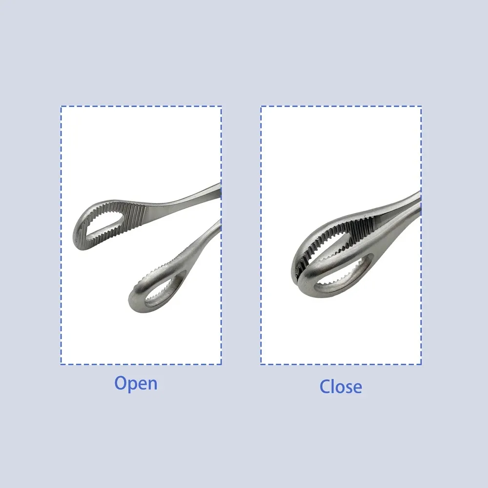 Stainless steel BW bone forceps Guide hole Holding Pliers with Grooved bending Pet surgical Tool
