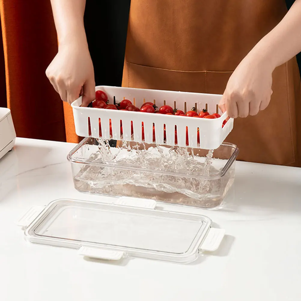 

Salad Crisper Produce Saver Containers for Refrigerator The Pet Kitchen Vegetable Boxes