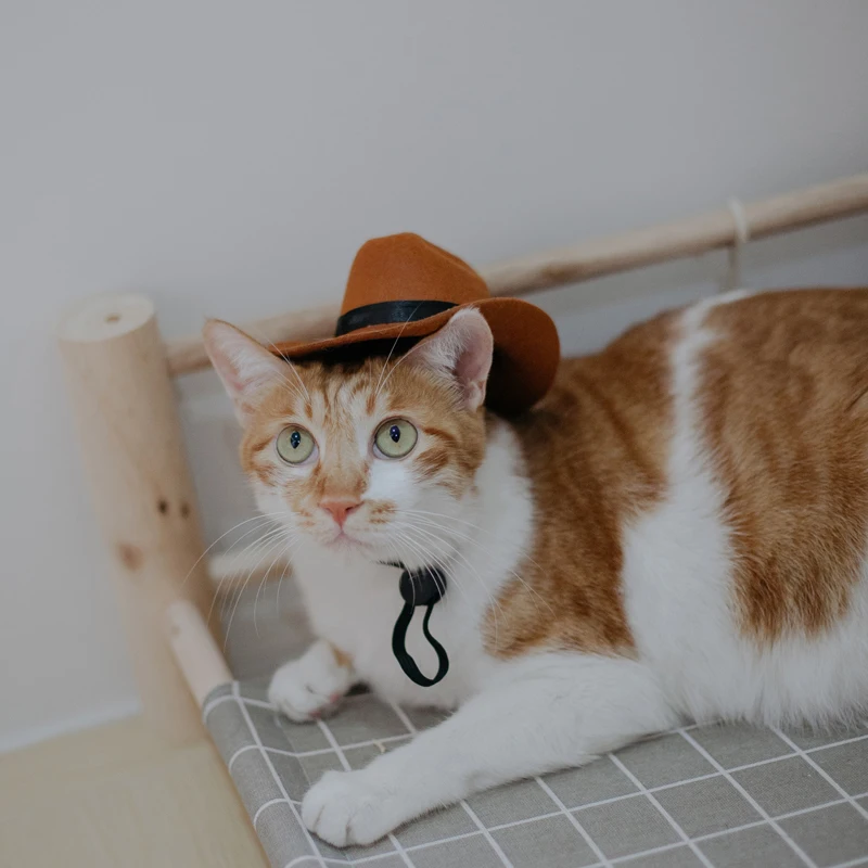 Pet Hat Dog Cat Western Cowboy Hat Non-wove Universal Cute Retro Photo Prop Dog Accessories Doll Decoration Adjustable Tightness