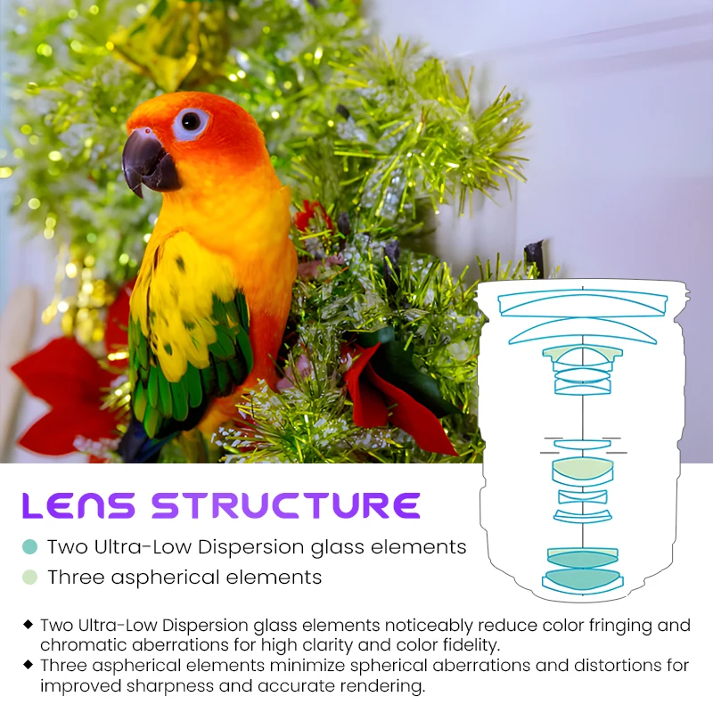 عدسة Canon EF-S 17-55mm f2.8 IS USM ذات فتحة كبيرة وعدسة تكبير DSLR بزاوية واسعة #3
