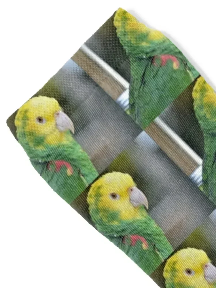 Double Yellow Headed Amazon Parrot Socks heated Sports FASHION luxe Socks Male Women's