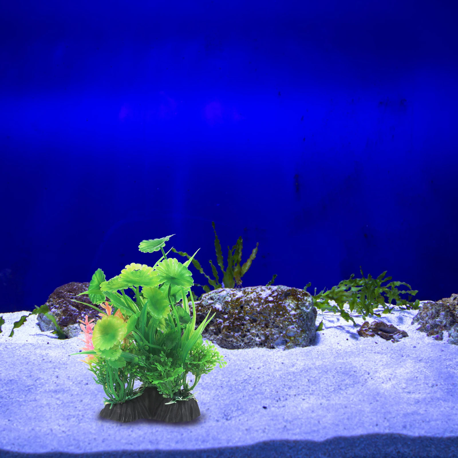 

1 Pcs Lifelike Artificial Water Grass Plant Aquarium Decoration Plastic Fish Tank Ornament