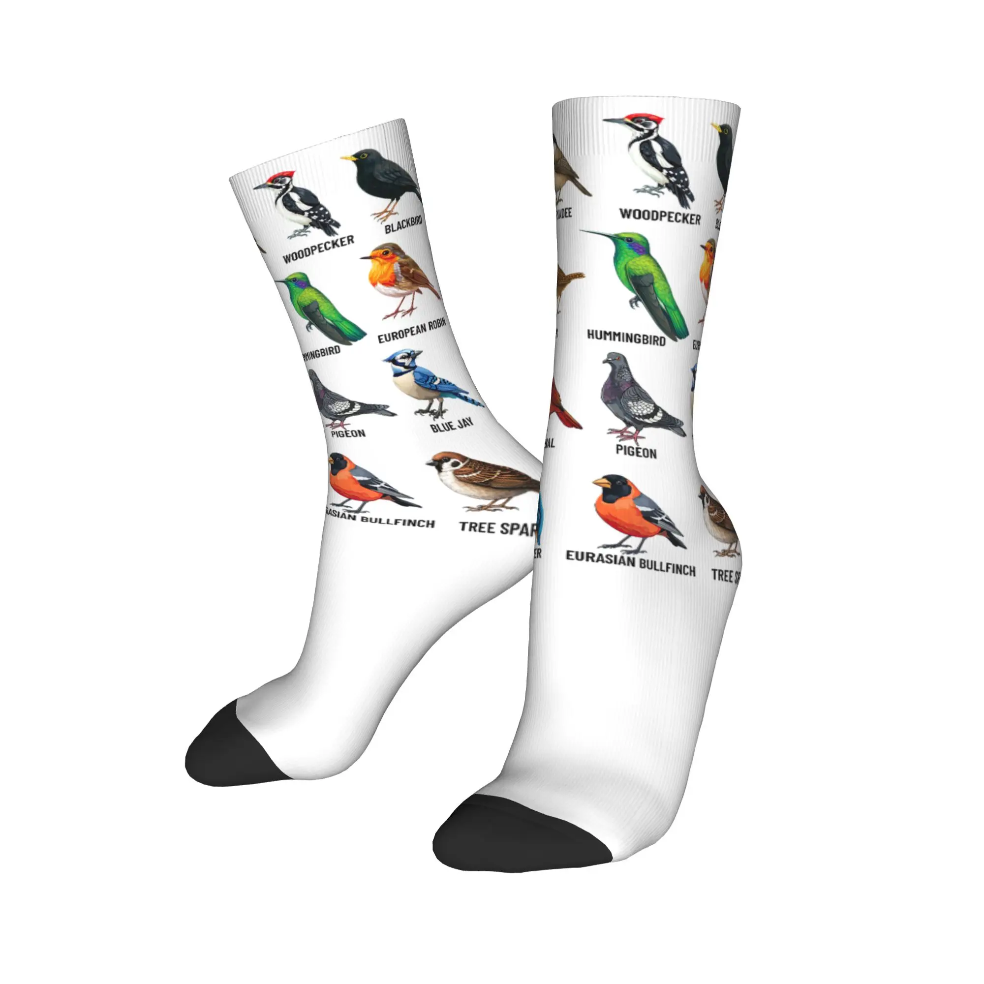 Winter Warm Fashion Men's Women's Parrots Bird Guide Different Parrot Species of The World Pet Socks  Non-slip Basketball Socks