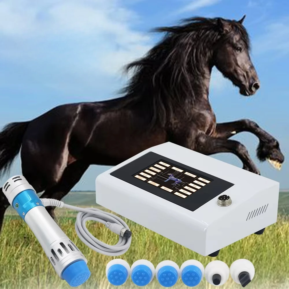 Veterinary Shockwave Physiotherapy  Handheld Wire Control Orthopedic Dot Matrix Wave for Animals
