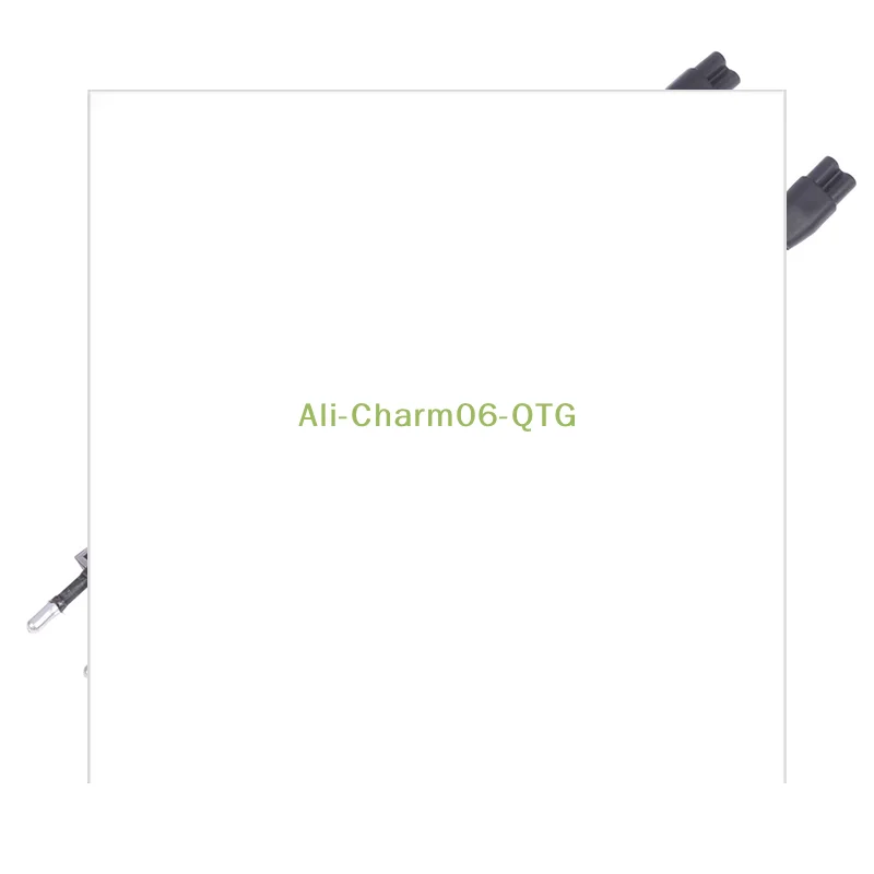 

Универсальный зарядный шнур переменного тока 220 В, 1 шт., для перезаряжаемых фонариков 1101, 1106, 1108.