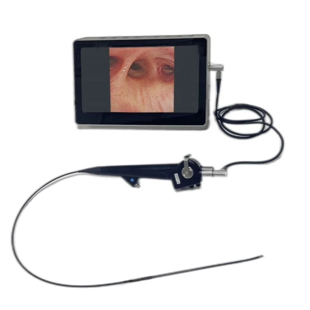 Portable Equine endoscope with 720P High Definition and 1500mm working length veterinary endoscope