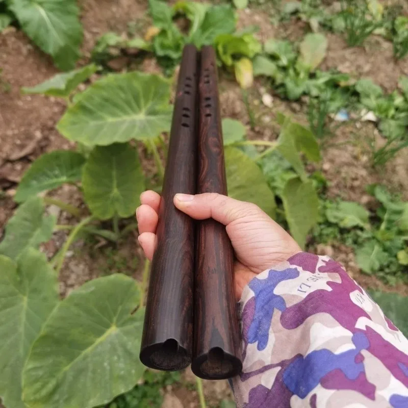 

Флейта из сандалового дерева с 8 отверстиями, ключ E/F/G, профессиональная короткая флейта Сяо для взрослых, начинающих, вертикальные флейты для выдувания, традиционный музыкальный инструмент