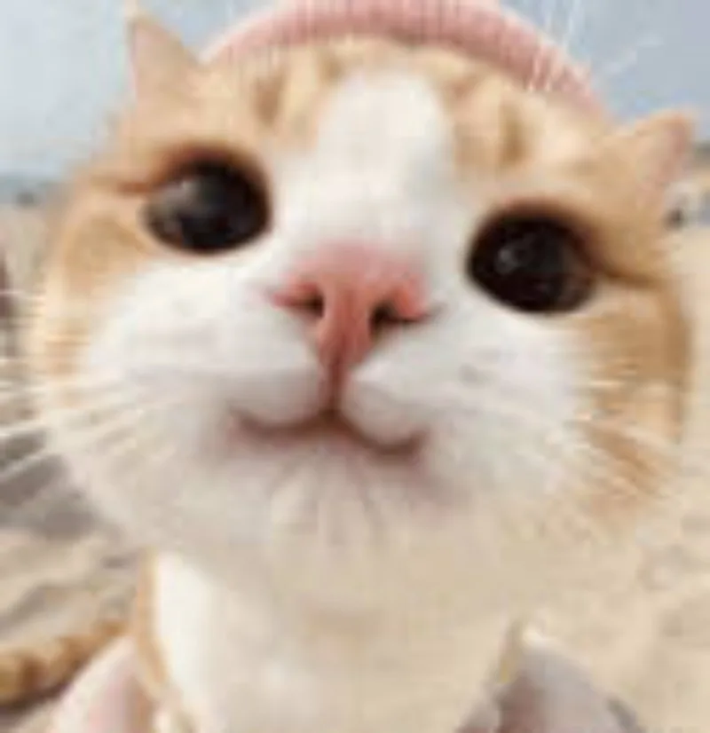 I need to reship the goods to the customer