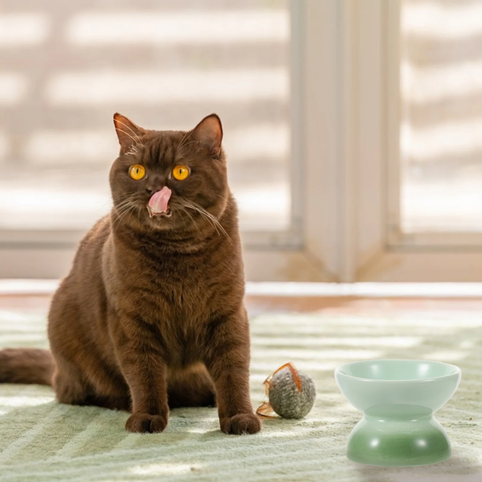 

Ceramic Cat Food Bowl Tilted Elevated Raised Stable Base Antivomit Feeding Dish Indoor Water Bowl for Kittens Puppies