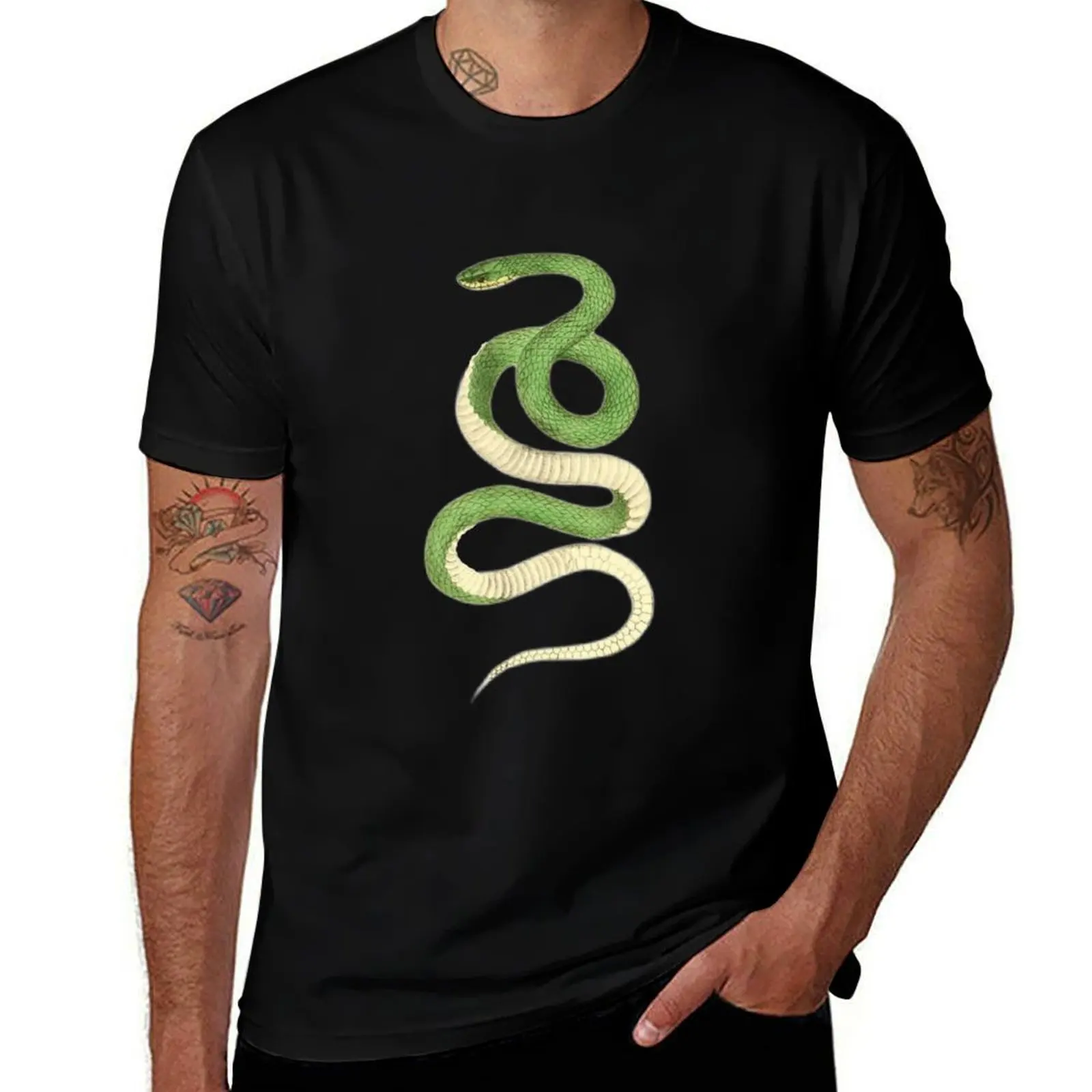 

Copy of A snake T-Shirt essential t shirt man t shirt graphic T-Shirt