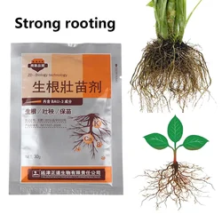30g/pack Plants Fast Rooting Aid Rapid Medicinal Seedling Agent for Cutting Soaking Fertilizer Trees Powder Strong Germination