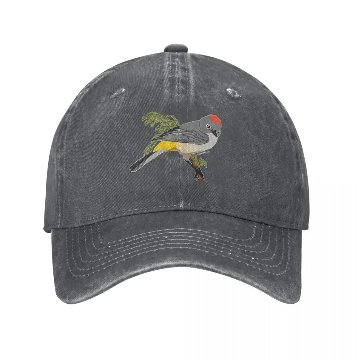 

Colima Warbler Baseball Cap Snap Back Hat black Caps Women Men's