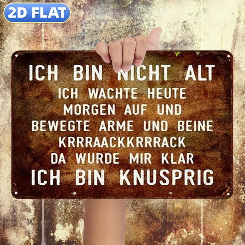 Funny Sarcastic Quote Metal Plaque 20*30cm 