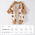Bear - half pack