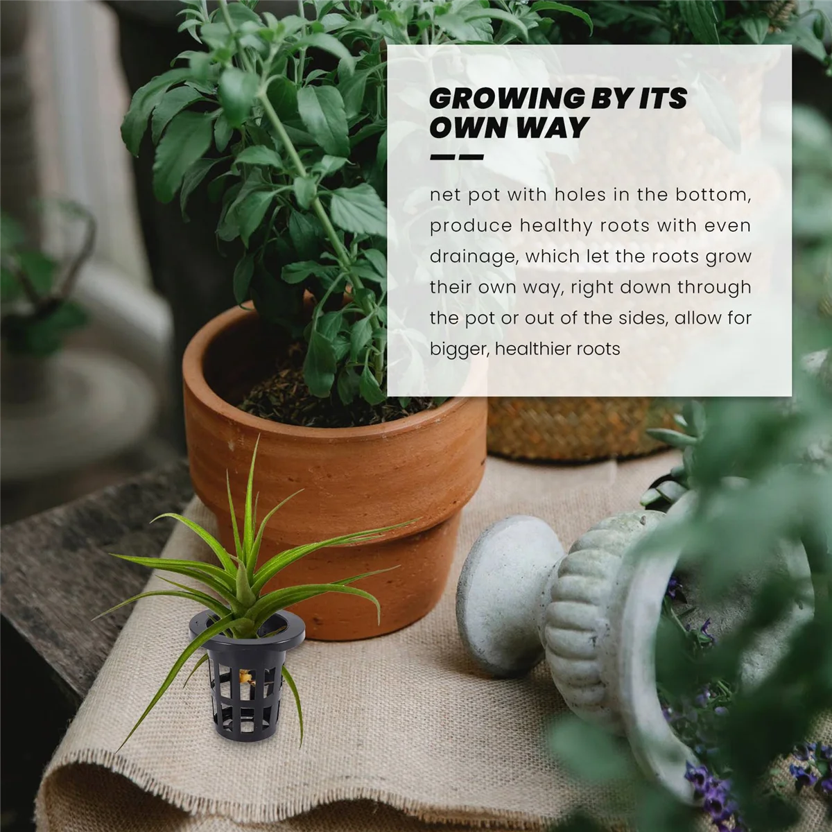 Unique! 100 Pack 1.77 Inch Net Cups Slotted Mesh Wide Lip Filter Plant Net Pot Bucket Basket for Hydroponics Aquaponics Orchids