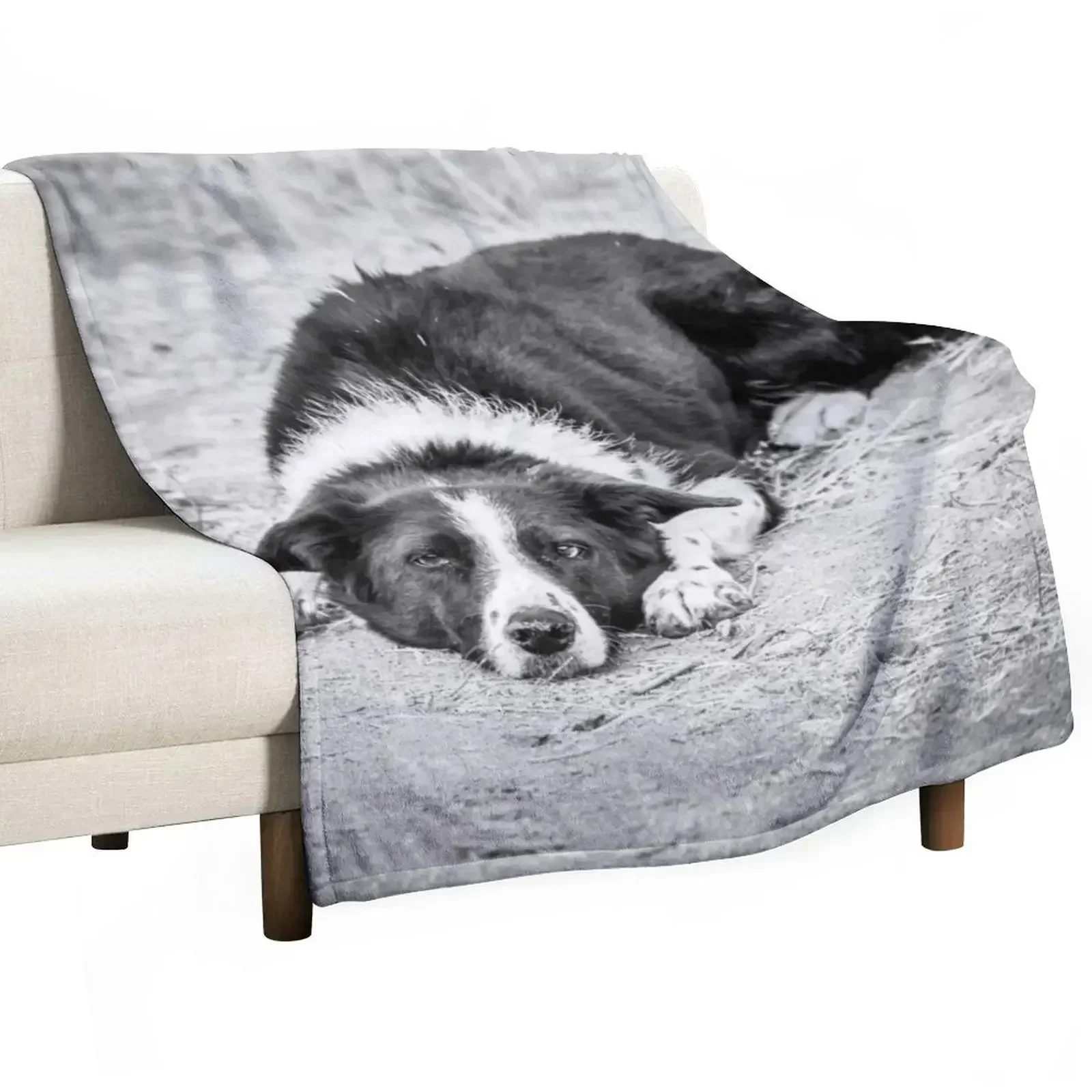 

Black and White Border Collie Lying on Ground Throw Blanket Polar Flannel Luxury Thins Blankets