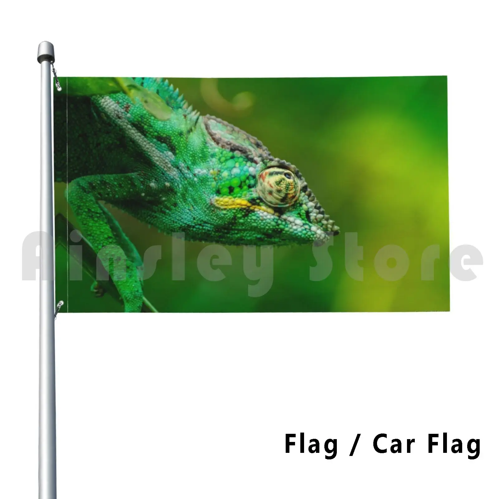 Pantera camaleón decoración al aire libre bandera coche bandera naturaleza animales naturales Isla de la reunión Pantera de Madagascar