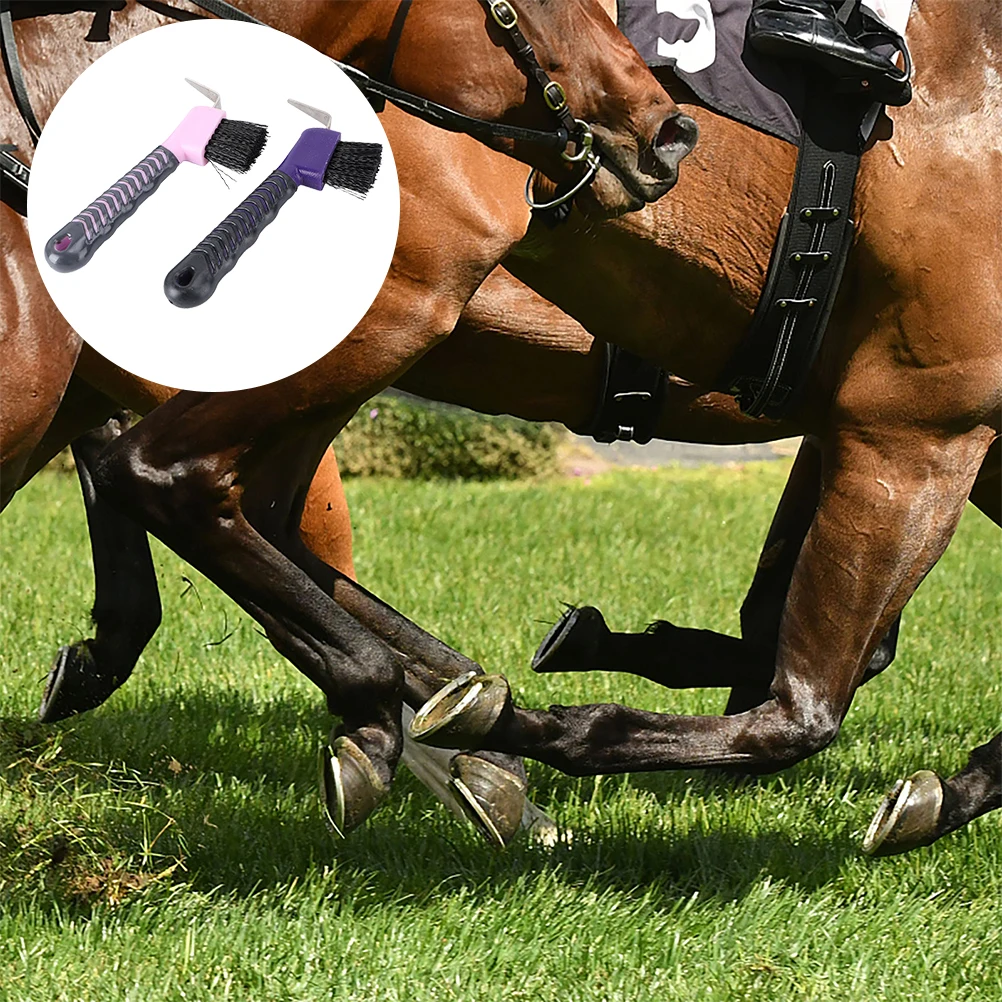 

2Pcs Hoof Pick with Stiff Bristles Efficient Cleaning for Horse Hoof Rocks Removal Portable Grip Handle for Hiking Shoes