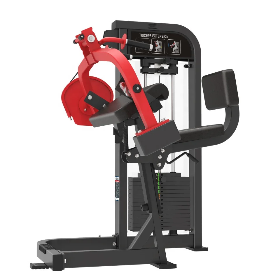 

2021 Nice Price Best Quality Commercial Gym Equipment Machine Triceps Extension