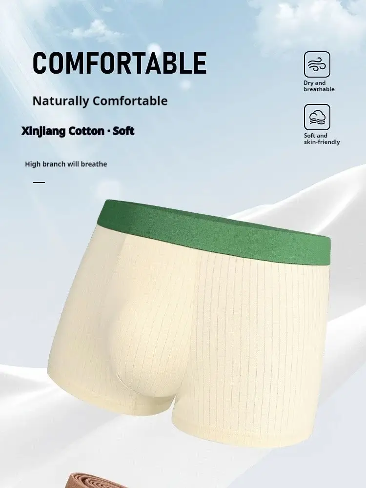 Tecnologia de algodão masculino ginseng goji berry shorts de canto plano com temperatura controlada, quente e respirável quatro cantos plus