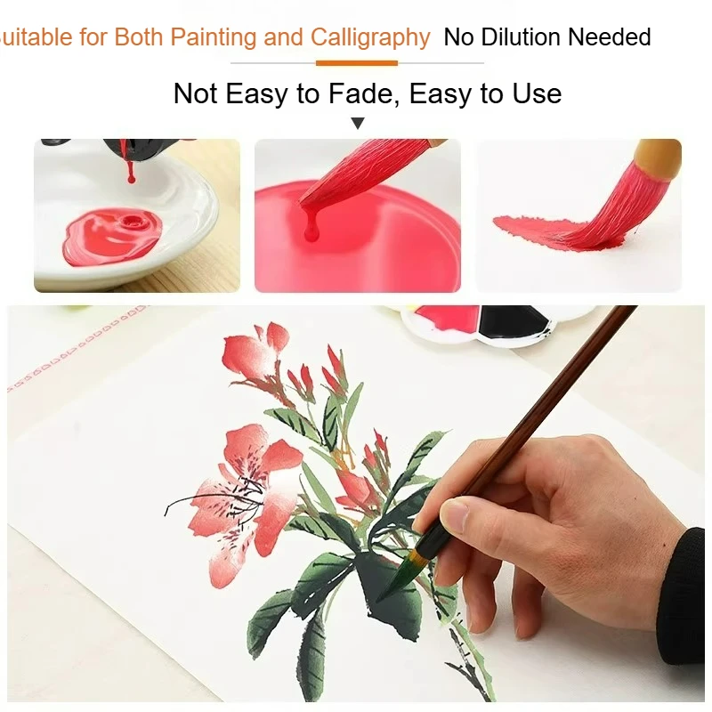 YIDEGE Colored Ink Traditional Chinese Painting Pigments 100g Washable No Dilution for Calligraphy Watercolor Painting