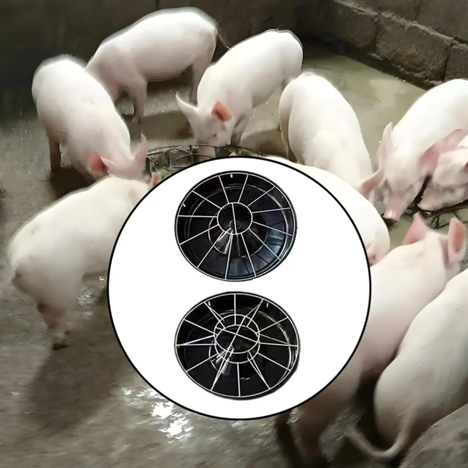 

Piglet Feeder Heavy Duty 12 Slots Bucket Large Capacity Container Waterer Food Fodder Slots for Livestock Ranch Pet Farm Poultry