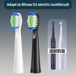 Bitvae D2 Electric Toothbrush Replacement Heads Adult DuPont Bristles Nozzle Brush Head, for Bitvae D2 Electric Toothbrush，10pcs