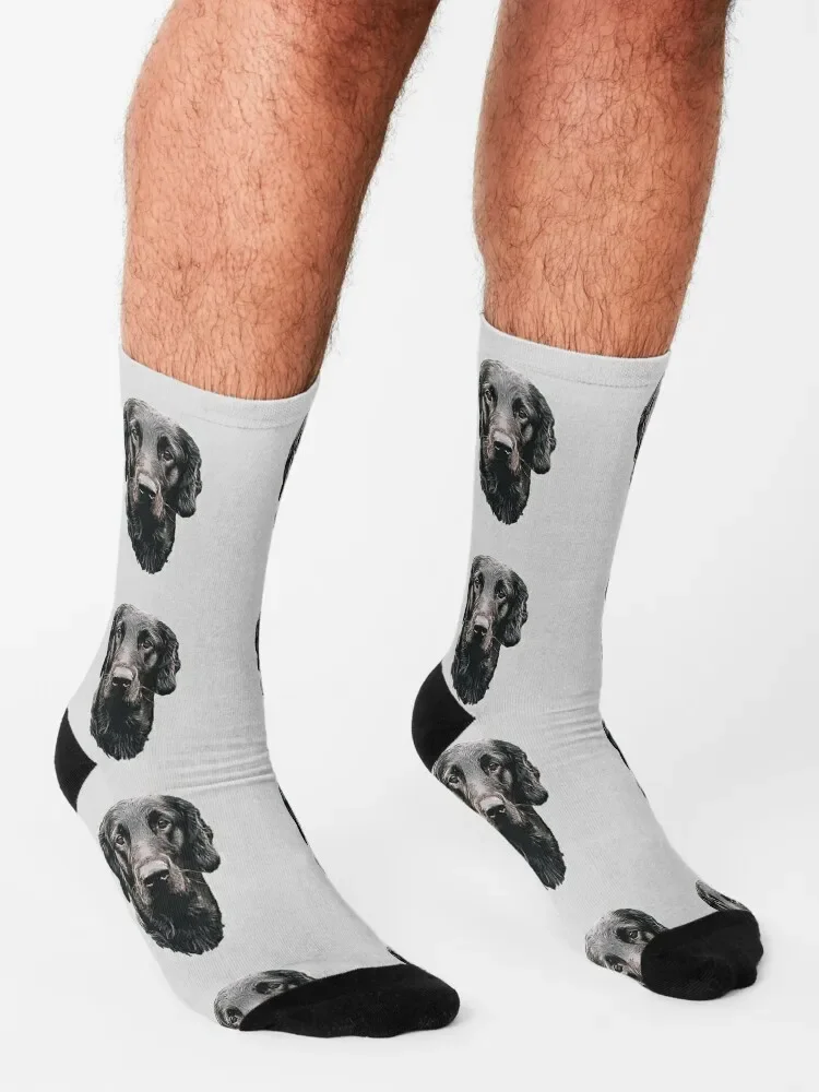 Retriever à revêtement plat, superbe chien! Chaussettes rétro argentines pour hommes et femmes