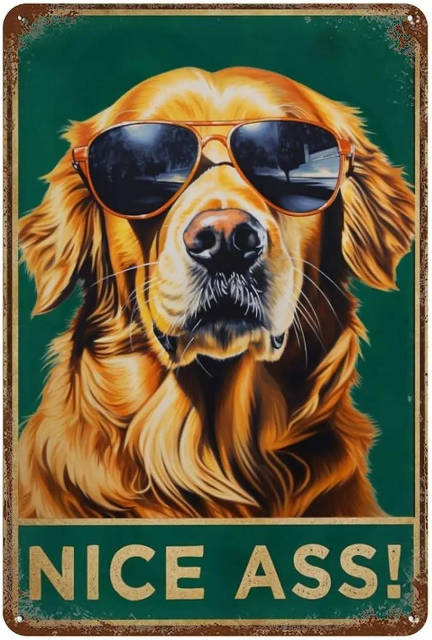 Retro Metal Tin Sign Golden Retriever Bathroom Decor, Nice Ass Room Man Cave Art Decorations Metal Sign Wall Decor Tin Signs Vin