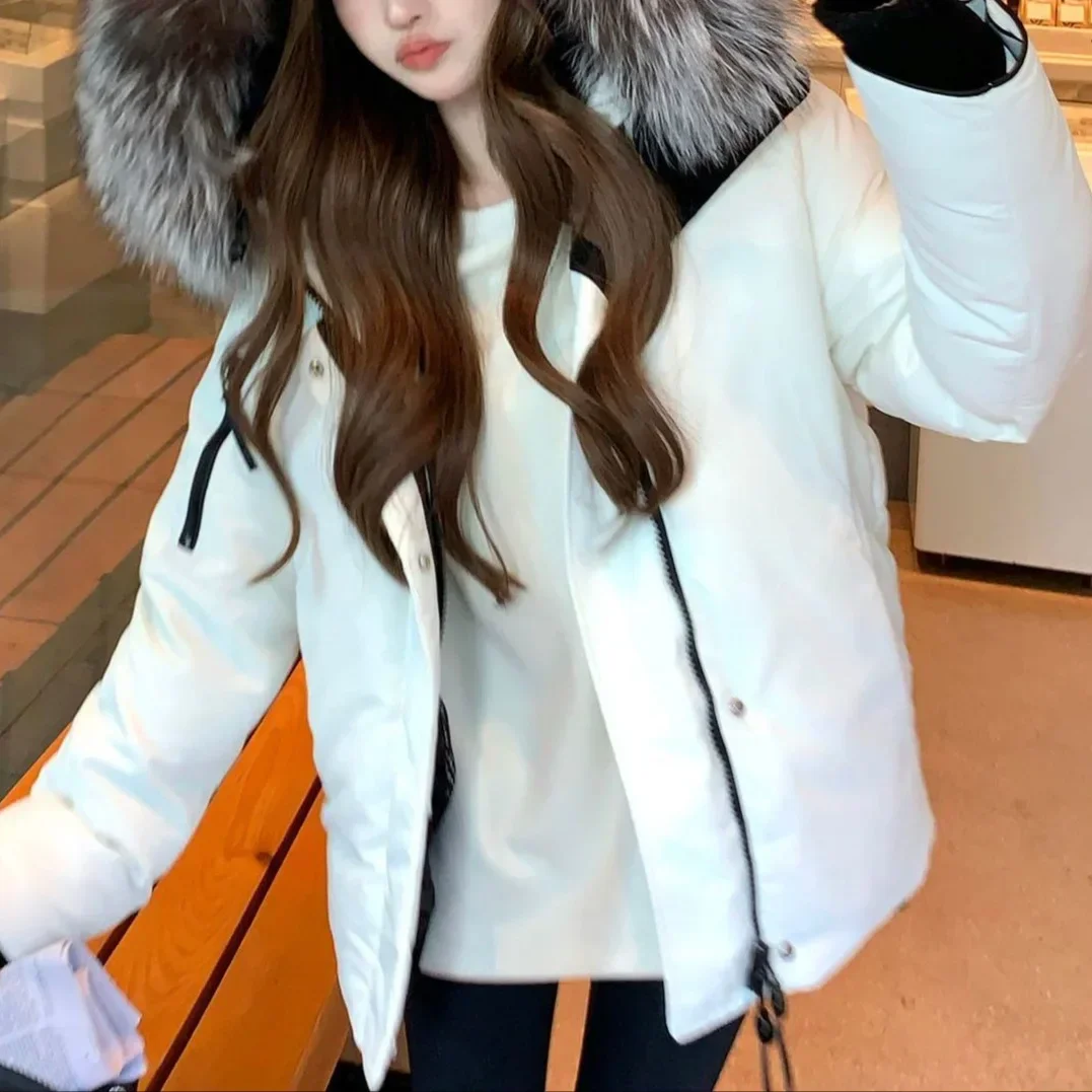 معطف نسائي بقصة عادية وسحاب للإغلاق، جاكيت قطني قصير، معطف بياقة من الفرو، مادة الشنيل الثلجية من ألياف البوليستر #1