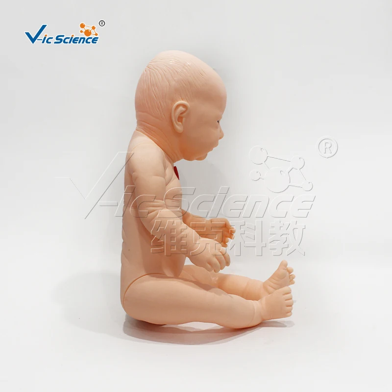 Advanced infant tracheotomy nursing model