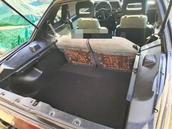 820MM Back Boor Dam…