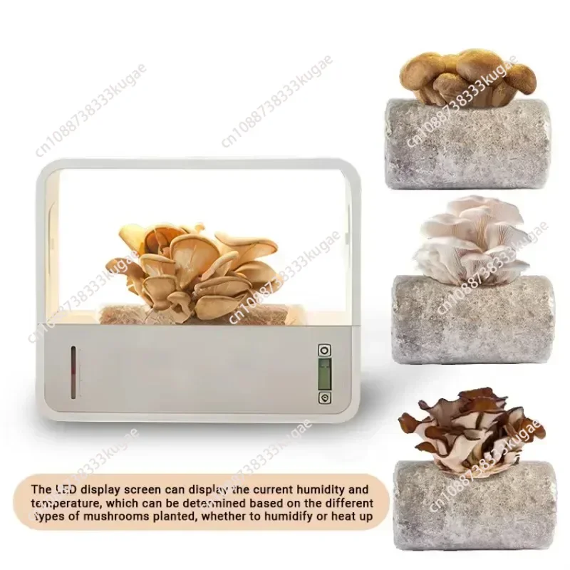 

2024 atomization heat preservation Multi-Functional Mushroom Growing Kit For Agricultural Greenhouses