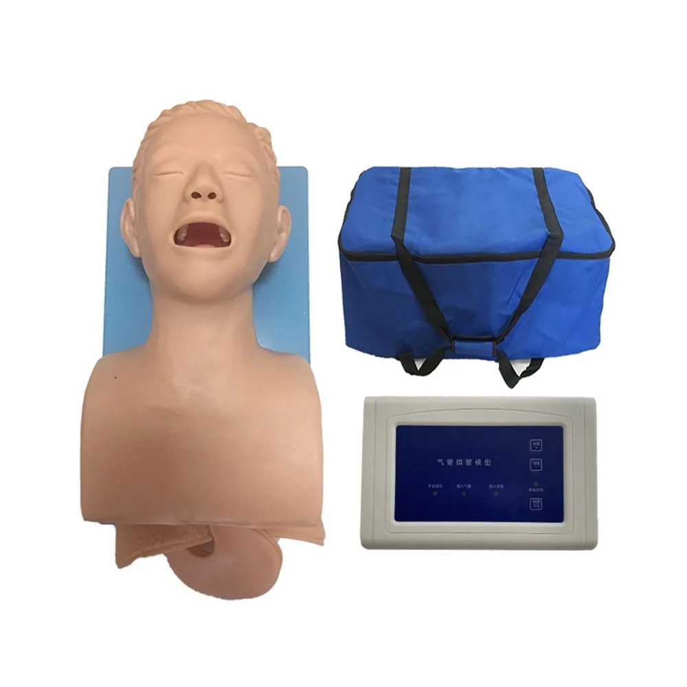 Intubation Manikin Study Teaching Model Airway Management Trainer PVC With Teeth 110-220V