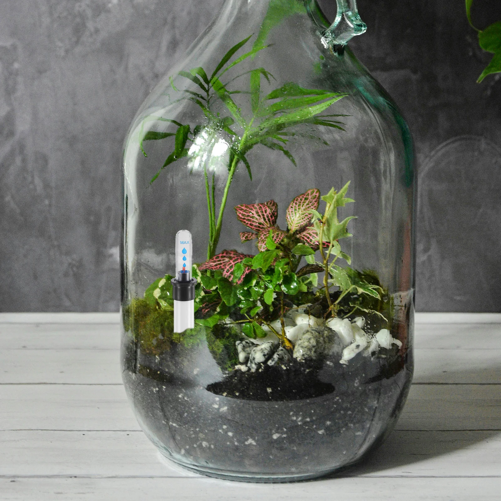 Medidor de exibição de água flutuante, 2 peças, para vasos de plantas, monitoramento de nível de água em tempo real, indicador de umidade para jardins internos e externos