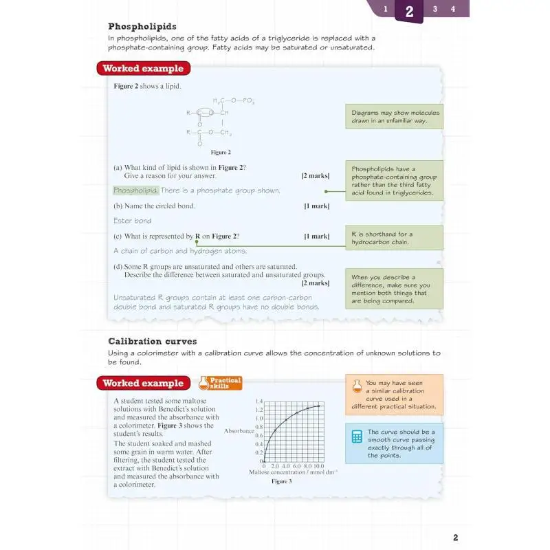 بيرسون ريفيز AQA منشئ مهارات امتحان الأحياء على مستوى 2025 و2026 امتحان إليزابيث وايلد بيرسون التعليم 9781292271644 كتاب