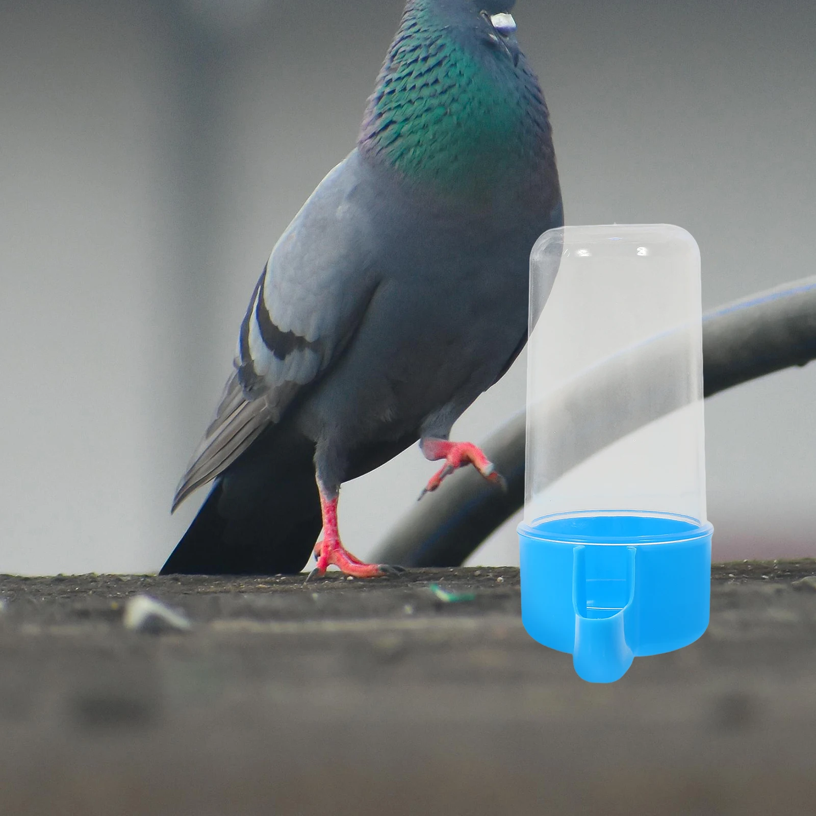 

2 Pcs Automatic Chicken Water Feeder Plastic Poultry Drinking Cup for Birds Quail Cage Farm Food Container