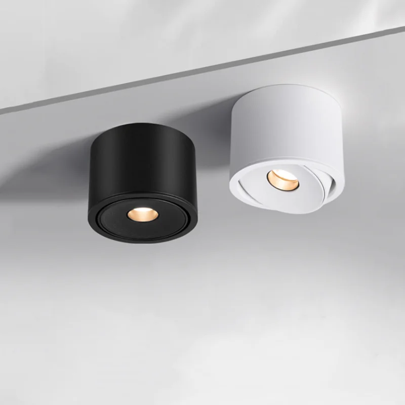 

Surface-mounted Led spotlights Dimmable ultra-thin small beam Angle spotlights 3°8°15°24° Ceiling Family Photo Art Museum