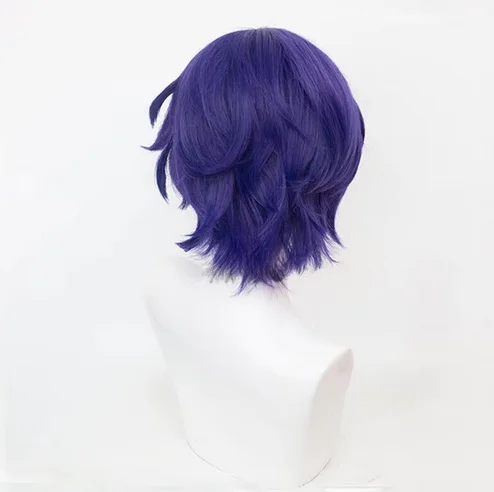 Honkai Star Rail Dr. Ratio Cosplay Wig 35cm Mixed Purple Synthetic Wigs