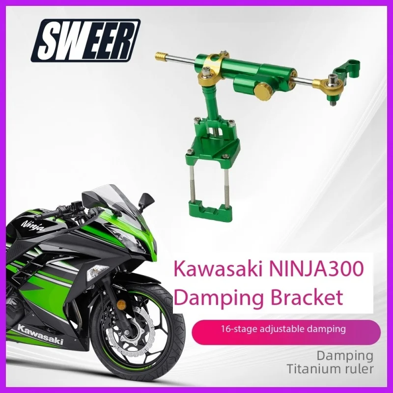 Suitable For Kawasaki NINJIA 300 Ninja300 Stabilizer Steering Damper Kit Damper Bracket Motorcycle Accessories