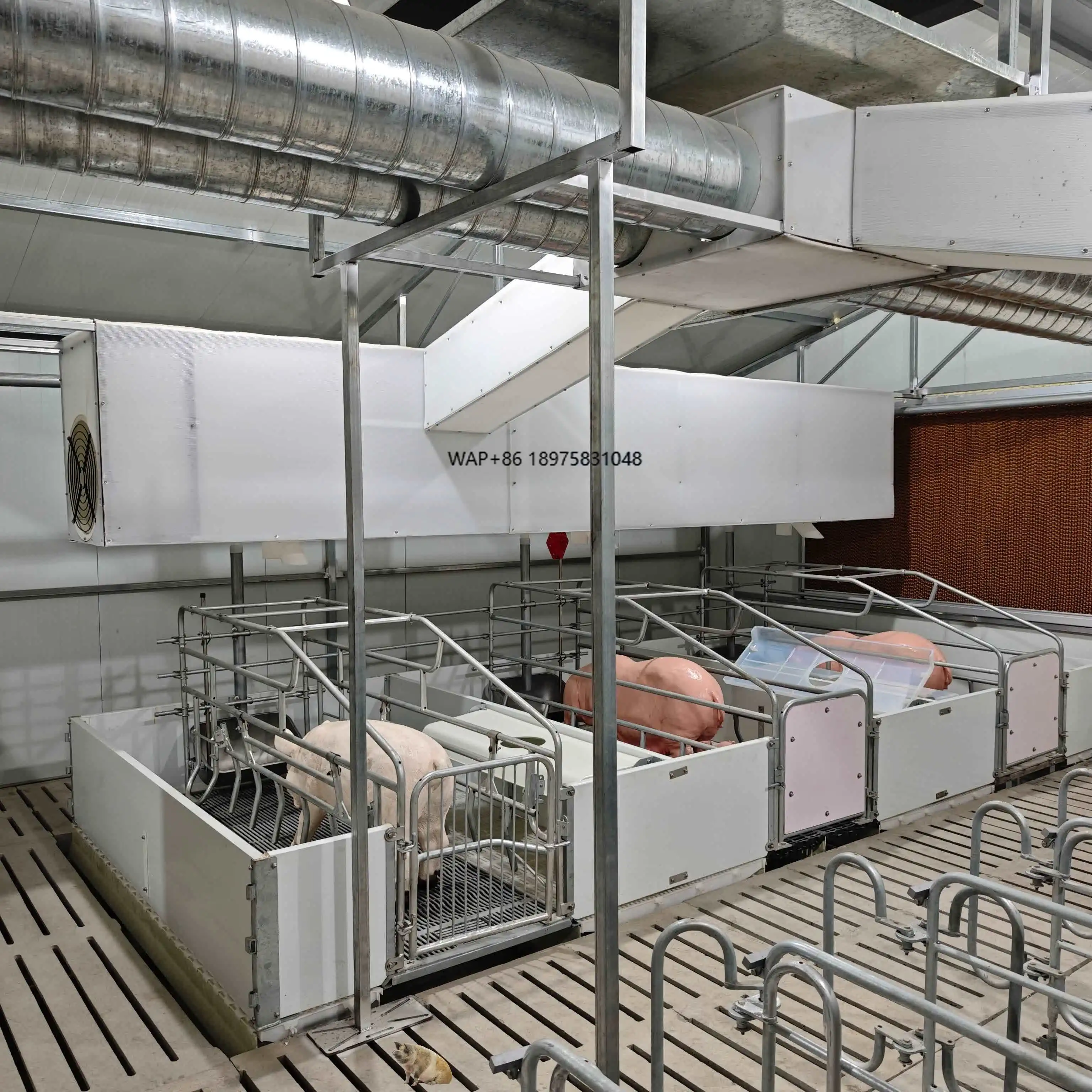 Wear-resistant high-quality livestock equipment, pig breeding equipment, farrowing pens, fattening farms